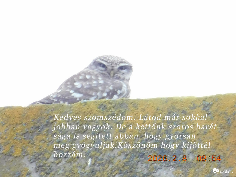 Bóbita már jobban van.