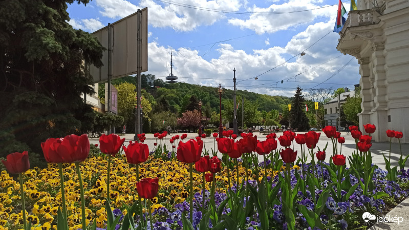 Miskolc, ma délután! 