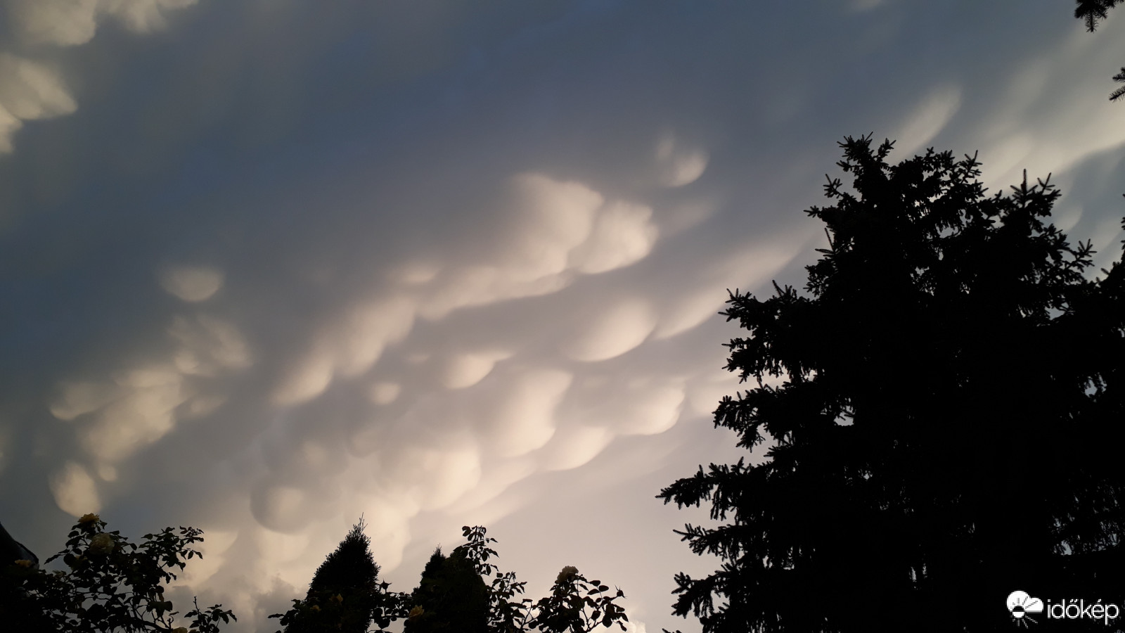 Észlelési fényképek