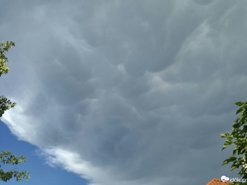 Észlelési fényképek