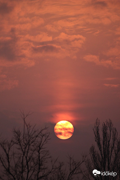 Sunpillar