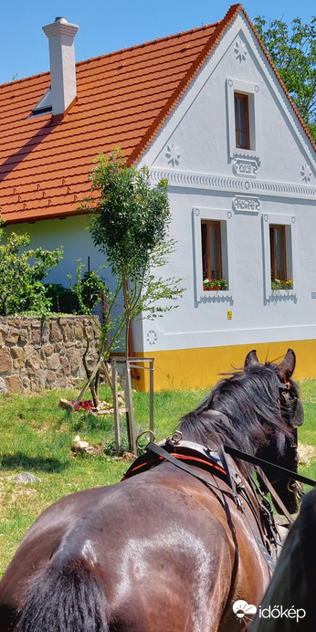Tájkép