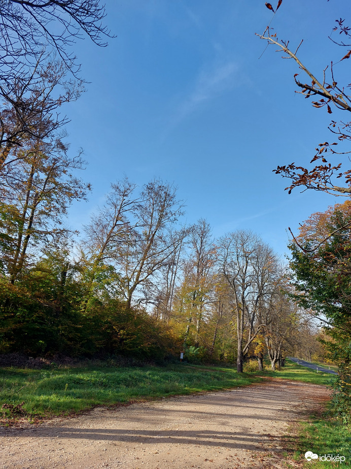 Ködös reggel után napos délután