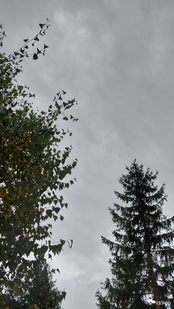 Szürkeség (egész nap)