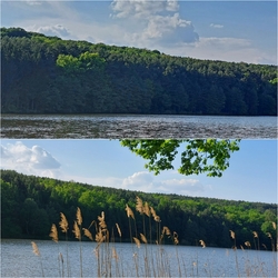 lelube fotója