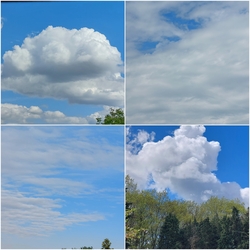 lelube fotója