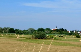 lelube fotója