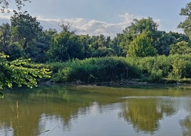 lelube fotója