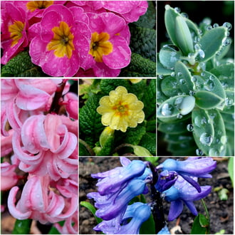 Esős nap, élénk ÉNy-i szél, jelenleg 3⁰C van