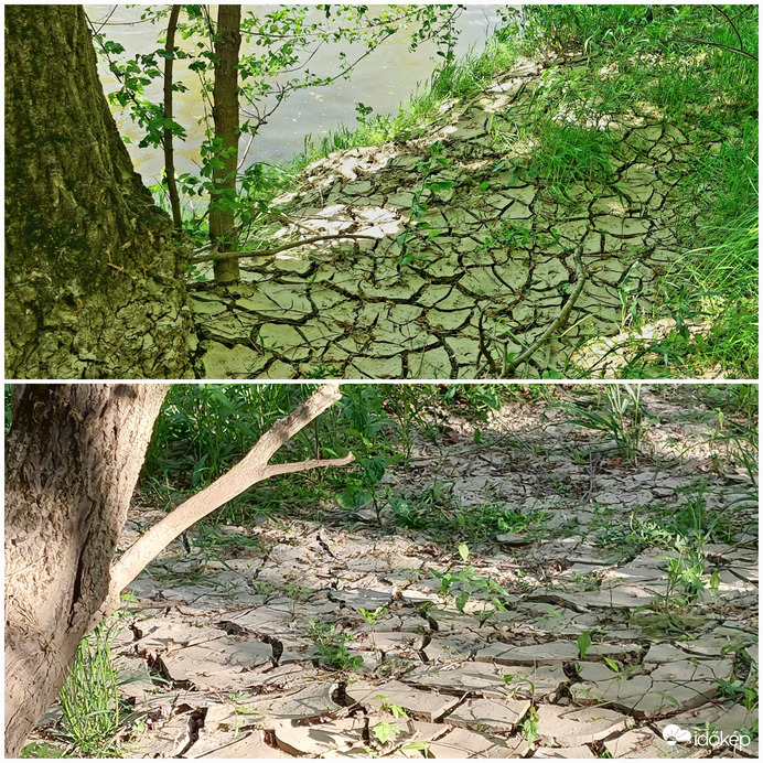 Aszály