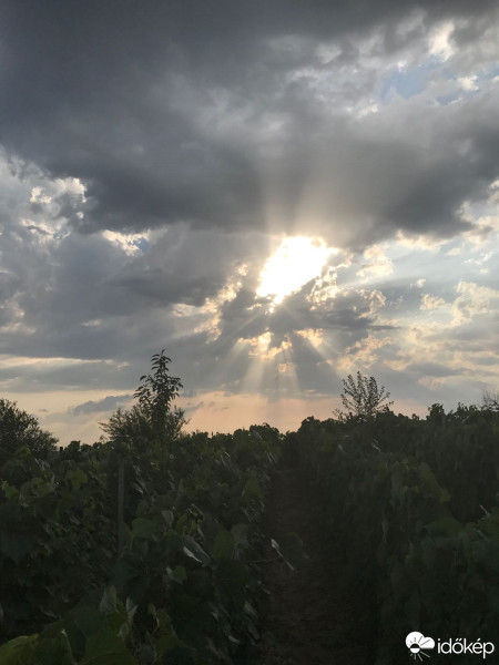 Észlelési fényképek