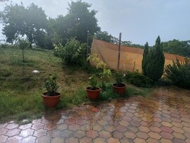 Mogyoród
