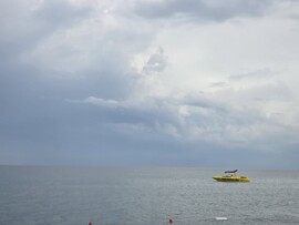Tilkiler