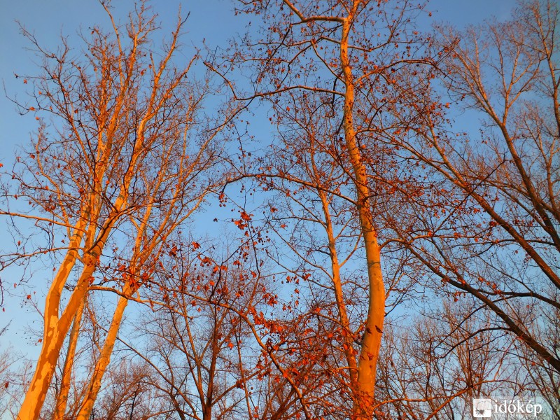Egy napfényes nap délutáni fényei