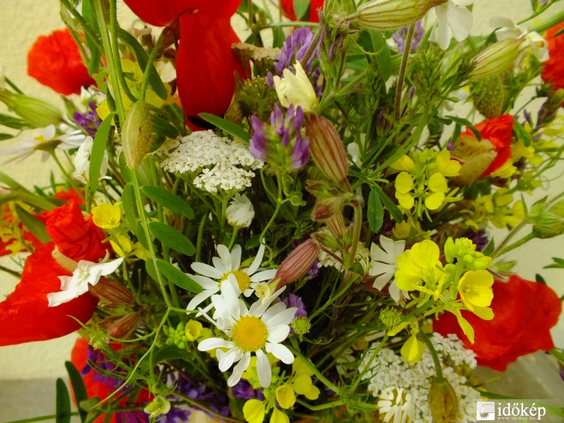 Szedd a rétnek virágait egy csokorba össze