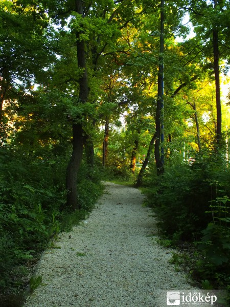 Kiserdő