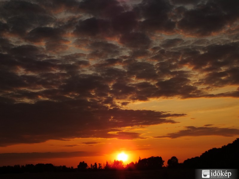 Szántóföldi nyári naplemente
