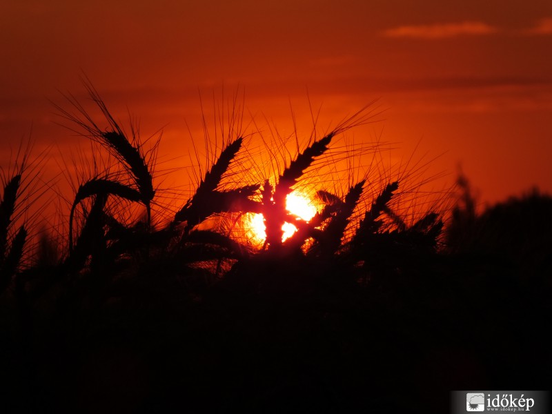 Nyári naplemente