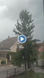 Jahodná