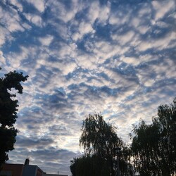 Gödöllő