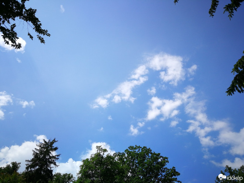 Észlelési fényképek