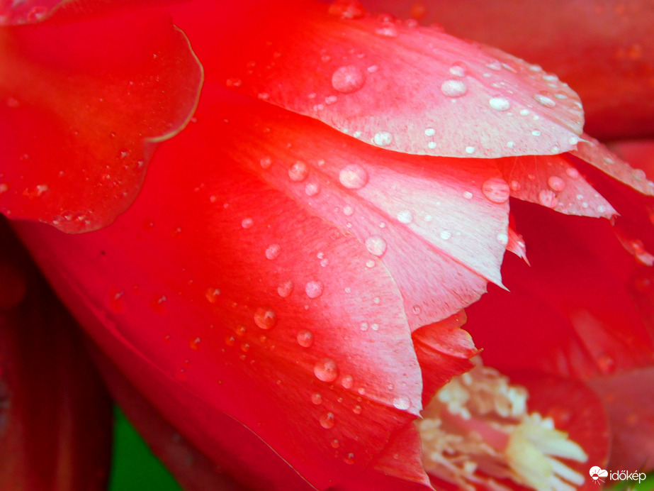 mérhetetlen mennyiségű eső...