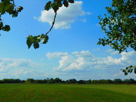 lica fotója