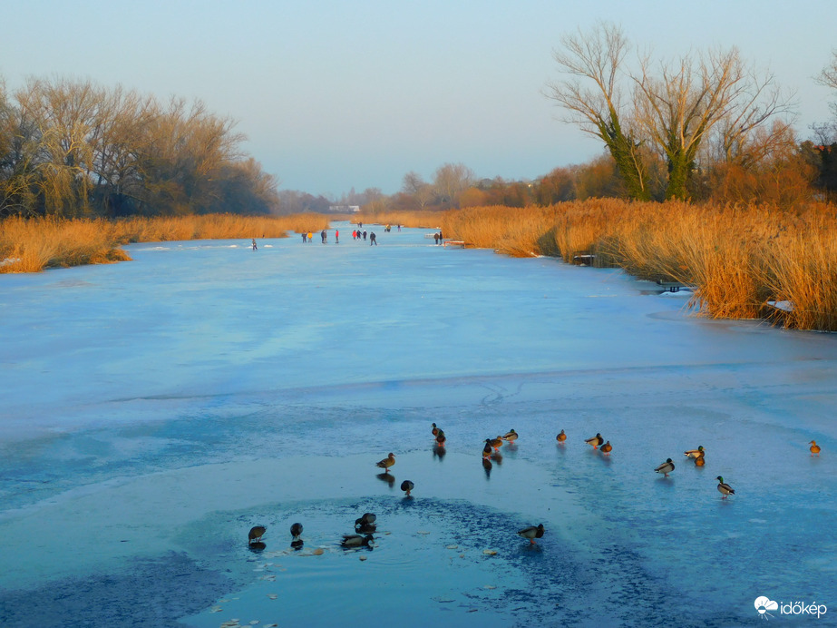 Benépesült a Kis-Duna