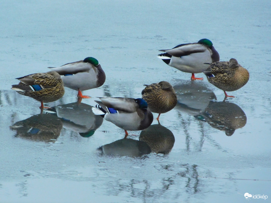 a helyzet változatlan, de nem reménytelen