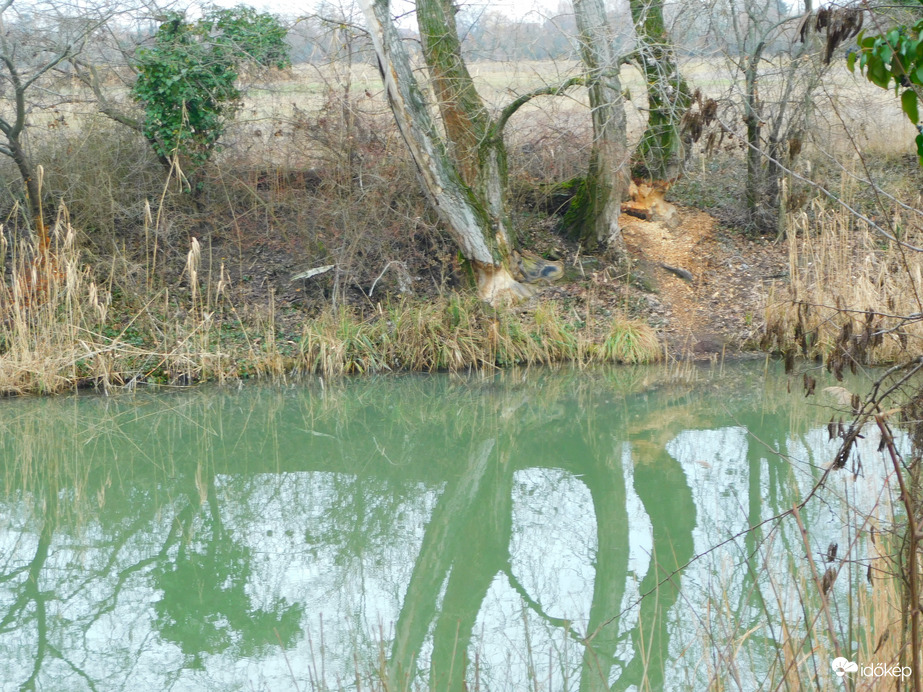 a munkálatok folytatódnak 