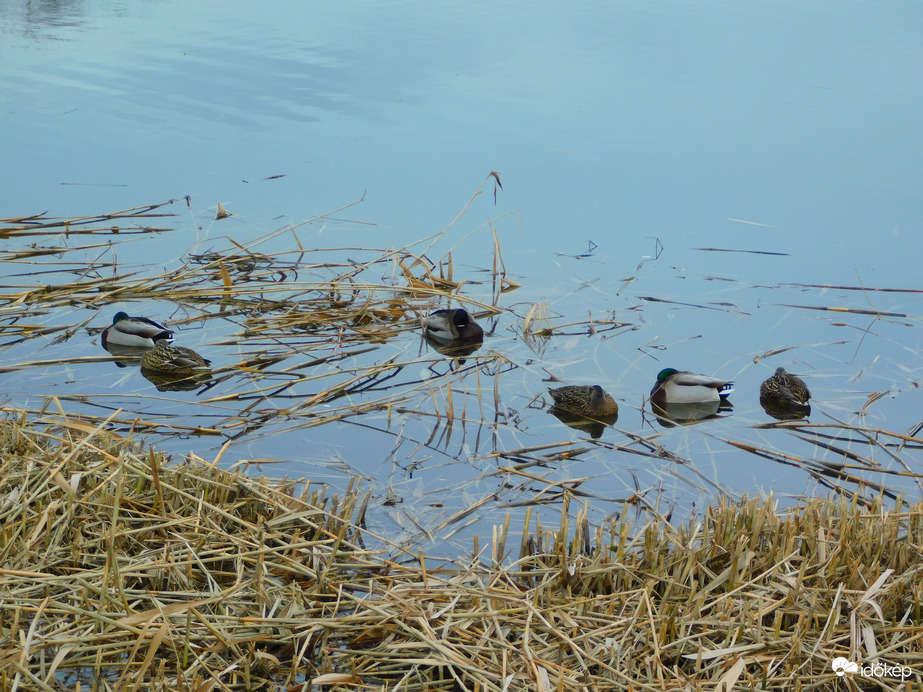 elmozdultak a holtpontról