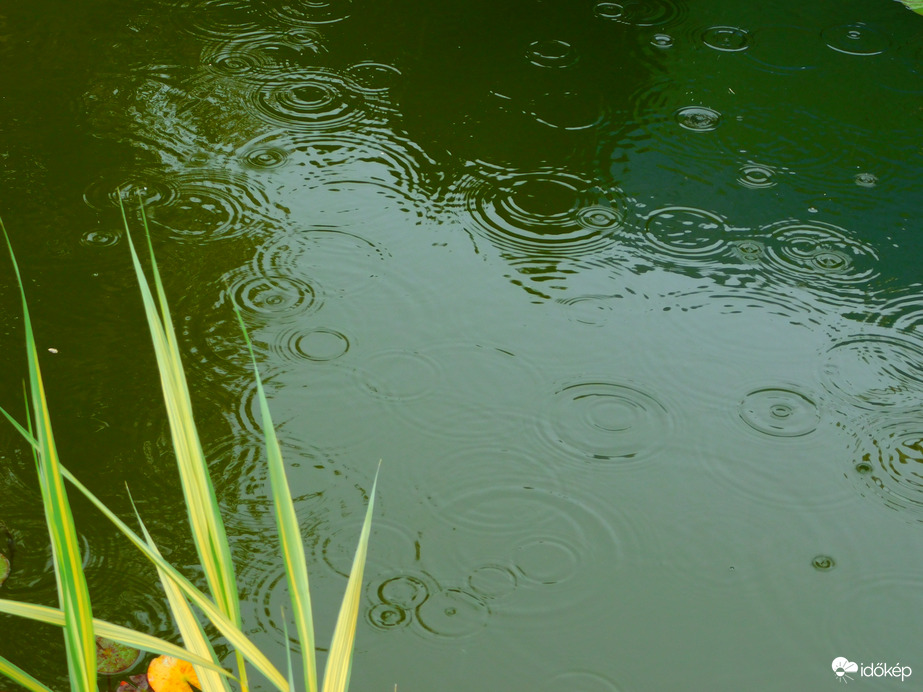 sokra mentünk ma is az esővel :(