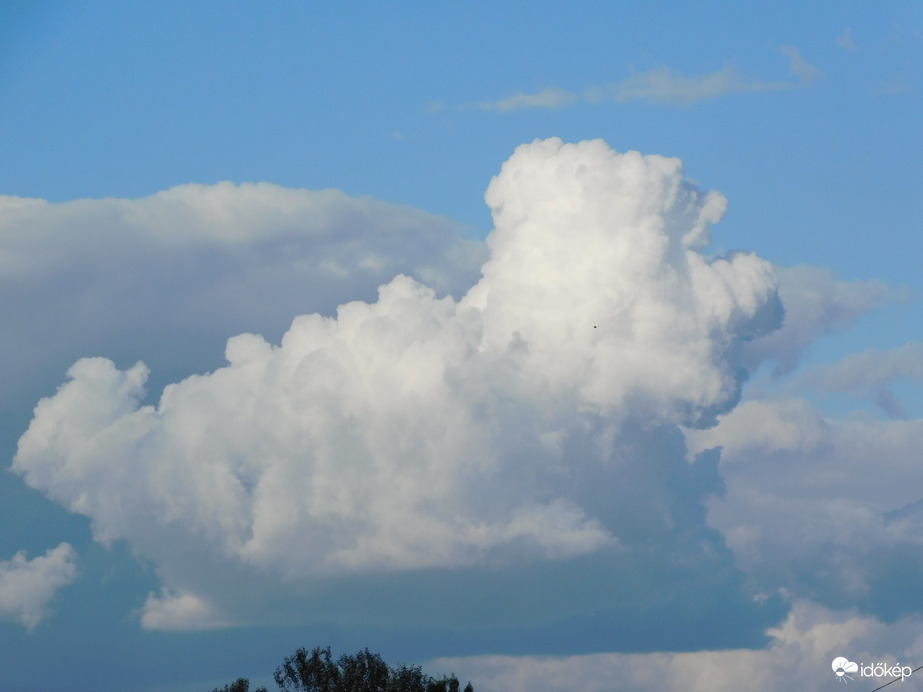 csak ugatom az esőt ...