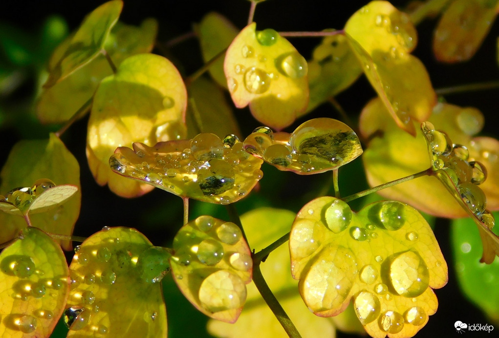 Szitálásokból lett 1,5 mm :)