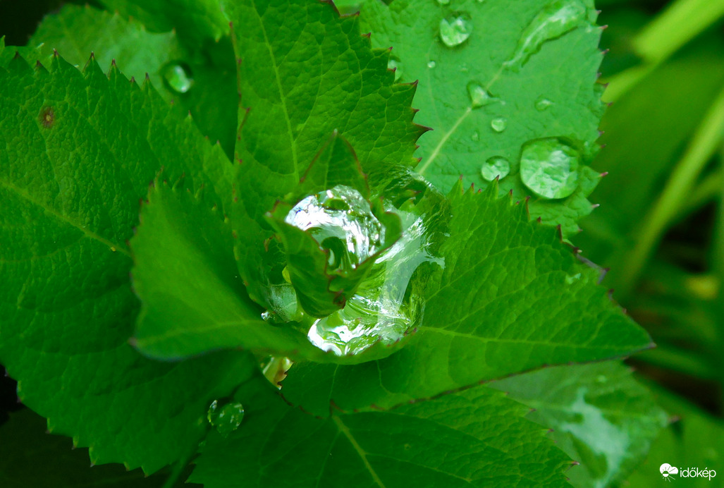 10,5 mm-t kaptunk délutántól tegnap