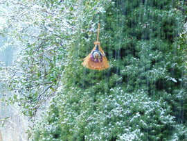 A boszi csinálja...