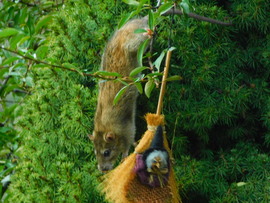 nem ijeszt el a boszi