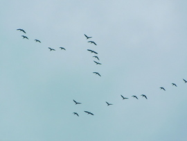 megléptek a sokadalomból :)