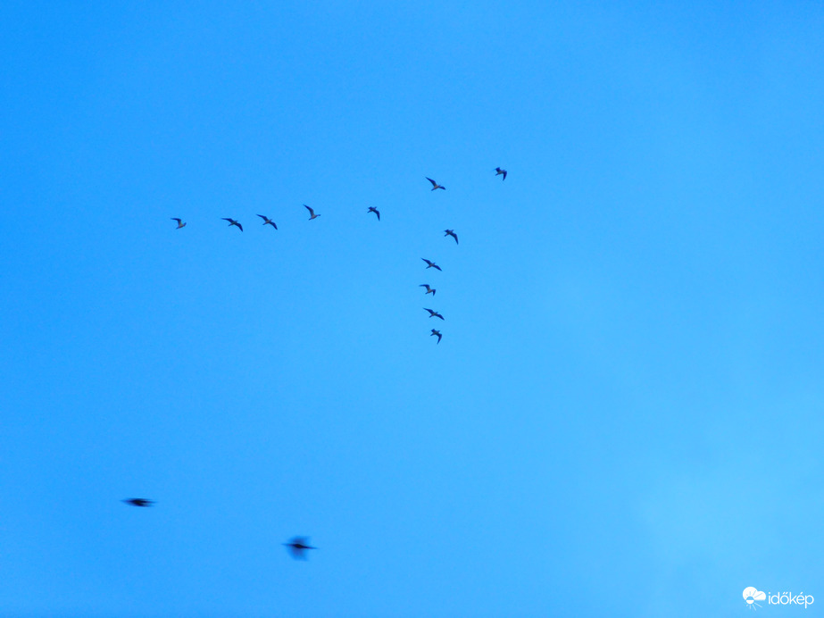 van aki jön, van aki megy :)