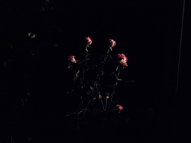 kiszűrődő fényben