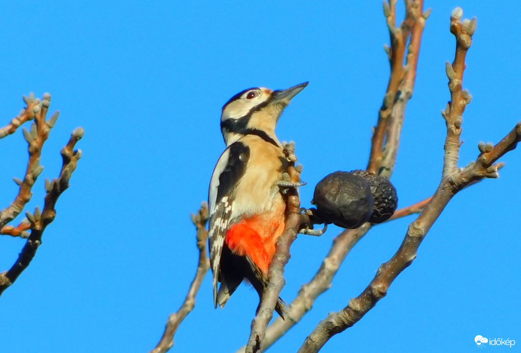 óóó, hogy az a...