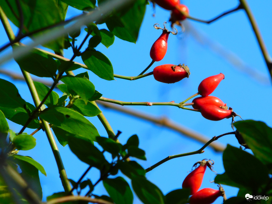 piros, kék, zöld, ez a magyar föld :))