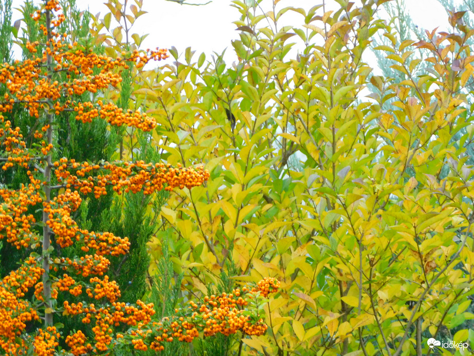 színek a szürkében