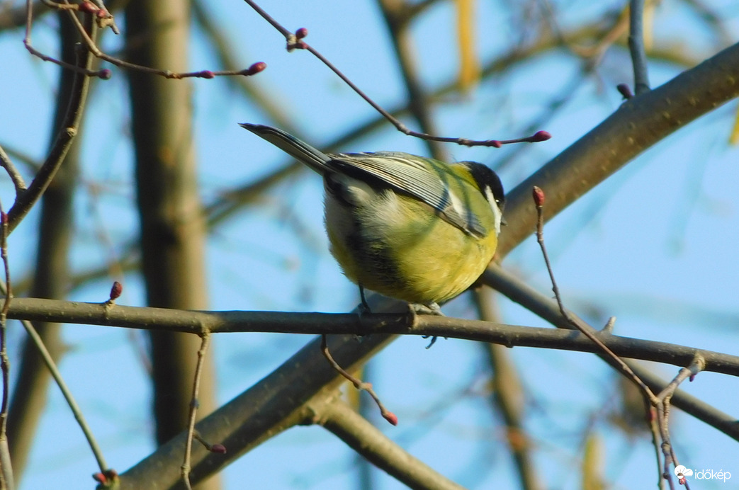 na, már unom a fotózást, mentem 
