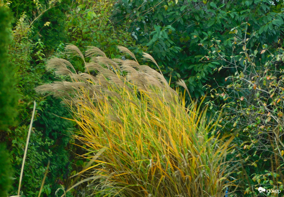 ...és fújt közben a szél..