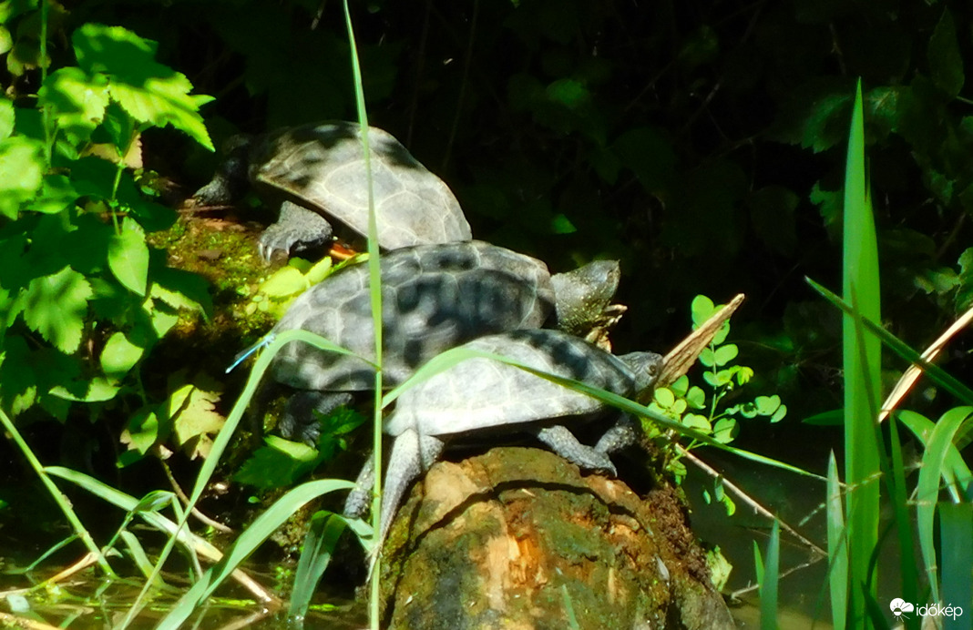 Azért csak módjával.. 