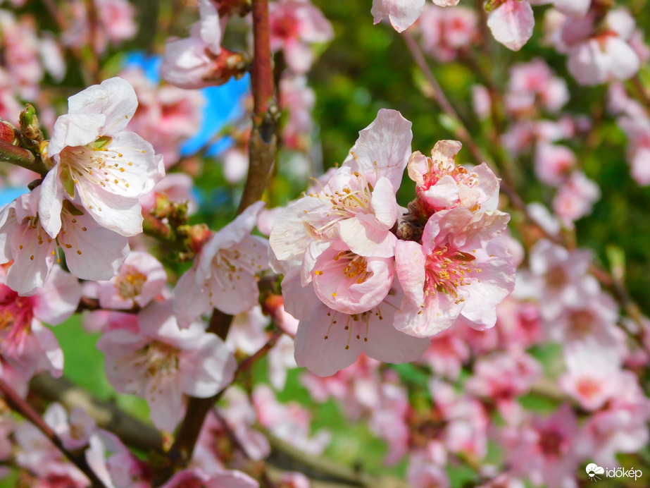 -1,-2 között lehetett valahol. talán vitt is, de hagyott is