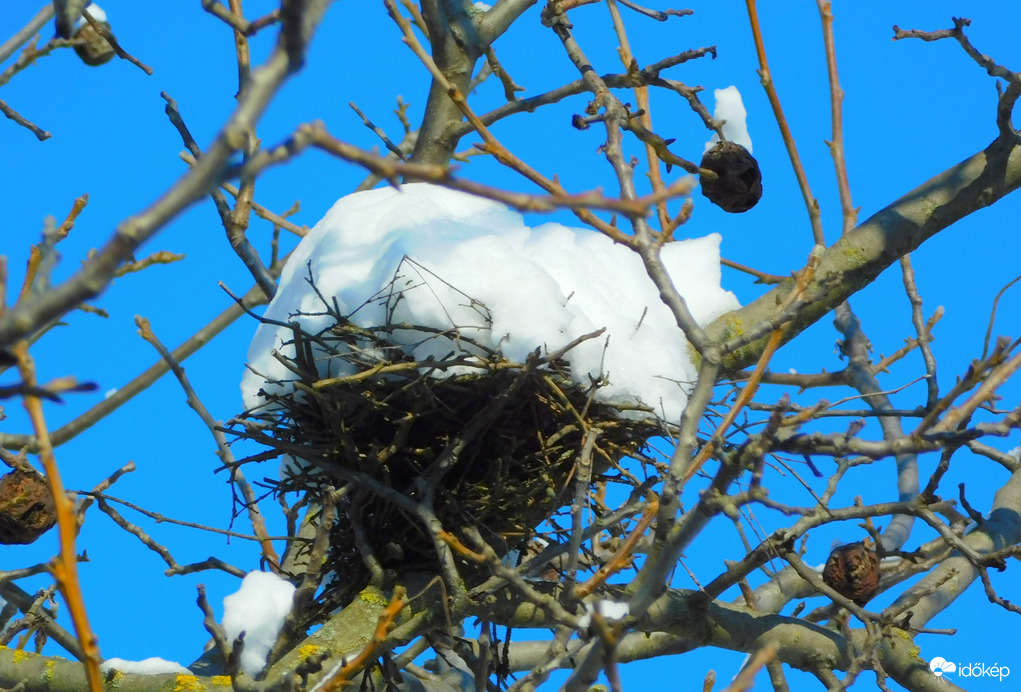 Fészket rakott a hó :))