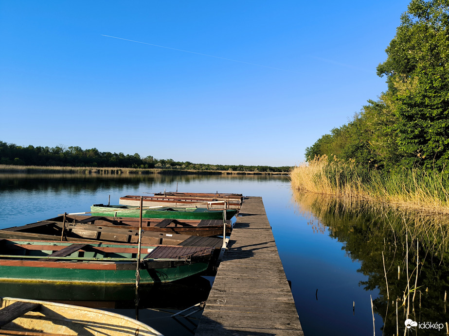 Természet