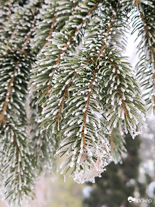 Zúzmarás ködös idő 